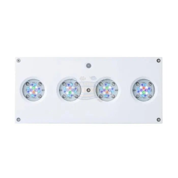 AI Hydra 64 HD Light - Marine World Aquatics