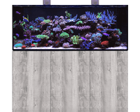 Setting Up and Maintaining a Reef Aquarium
