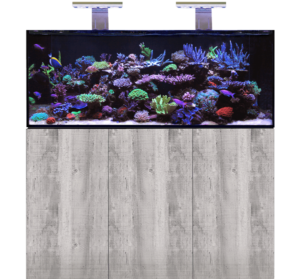 aquariums