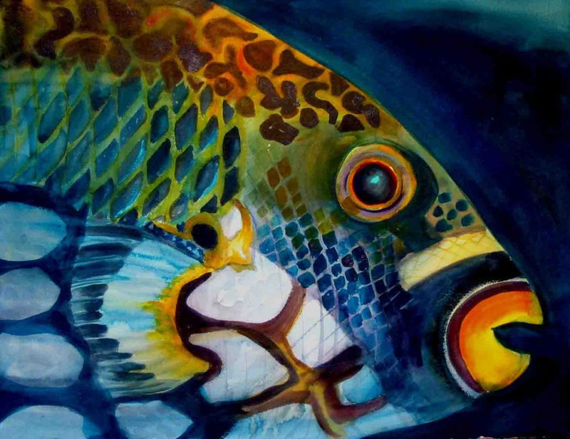 Interesting Facts about Parrotfish