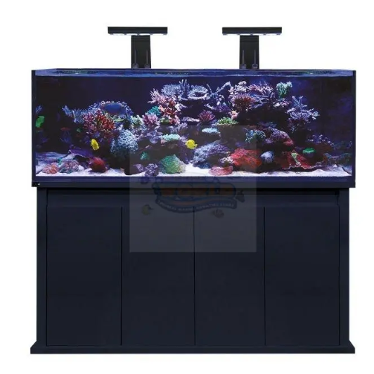 Marine Aquariums – What Factors To Think Of Before Buying One?