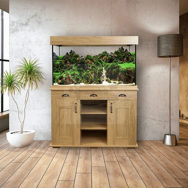 Maintaining a Saltwater Fish Tank Made Easy Marine World Aquatics