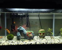 The Small Community Tank