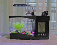 The Best UK Stores for Unique Aquarium Accessories