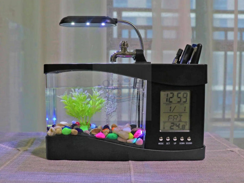 The Best UK Stores for Unique Aquarium Accessories - Marine World