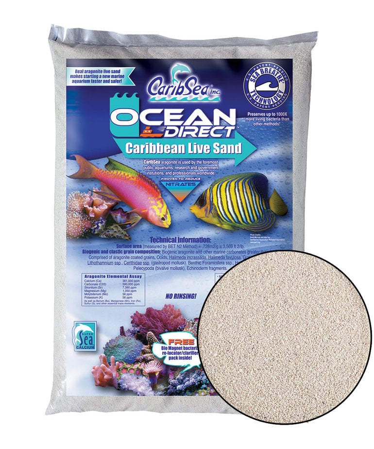 The Benefits of Using Live Sand in Your Aquarium Setup