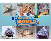 Marine World Aquatics: Your One-Stop Shop For Fish And Coral Food