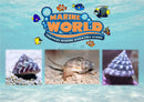 10 Turbo Snails, 10 Nassarius Snails,10 Banded Trochus Snails - Marine World Aquatics