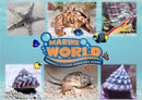5 Turbo Snails, 5 Nassarius Snails, 5 Hermit Crabs, 5 Banded Trochus Snails, 1 Cleaner Shrimp, 1 Sand- Sifting Starfish - Marine World Aquatics
