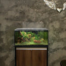 Fluval Flex Aquarium Kit 123 Ltr - Marine World Aquatics