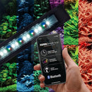 Fluval Flex Aquarium Kit 123 Ltr - Marine World Aquatics