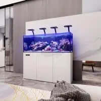 MAXSPECT LAGOON SMART AQUARIUM 150CM TANK AND CABINET - WHITE - Marine World Aquatics