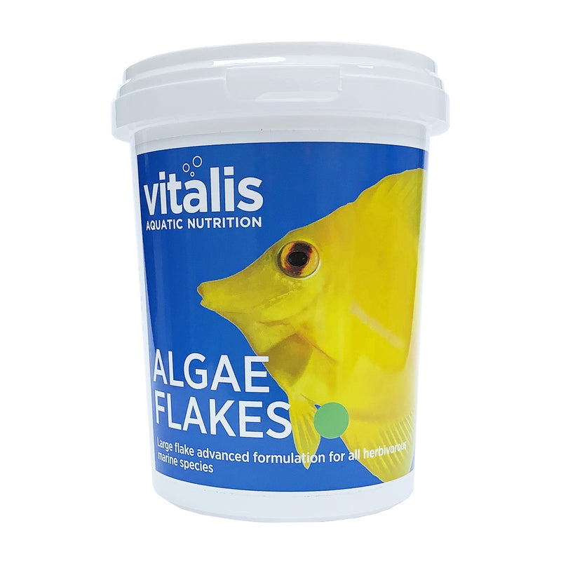 Vitalis Algae Flakes 40g - Marine World Aquatics