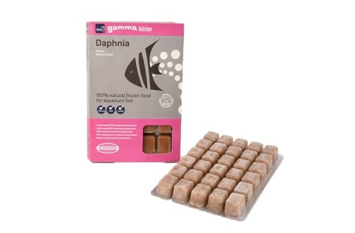 Gamma Daphnia Blister Pack 100g