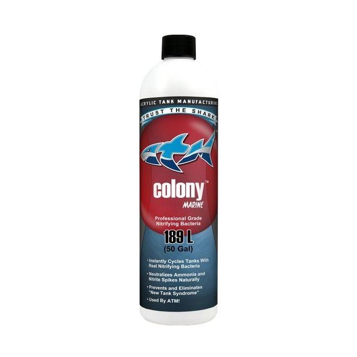 ATM Colony Saltwater 16oz - Marine World Aquatics