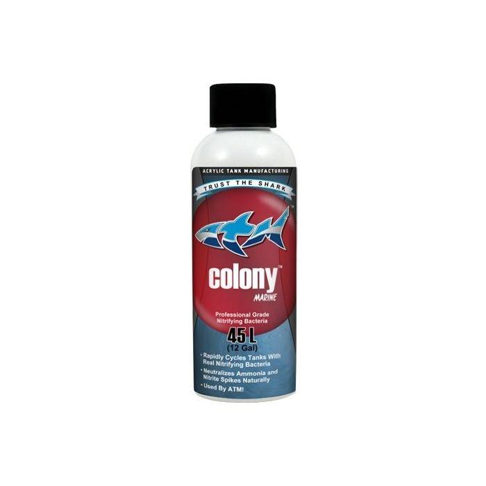 ATM Colony Saltwater 4oz - Marine World Aquatics
