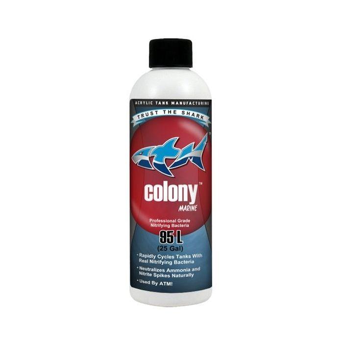 ATM Colony Saltwater 8oz - Marine World Aquatics