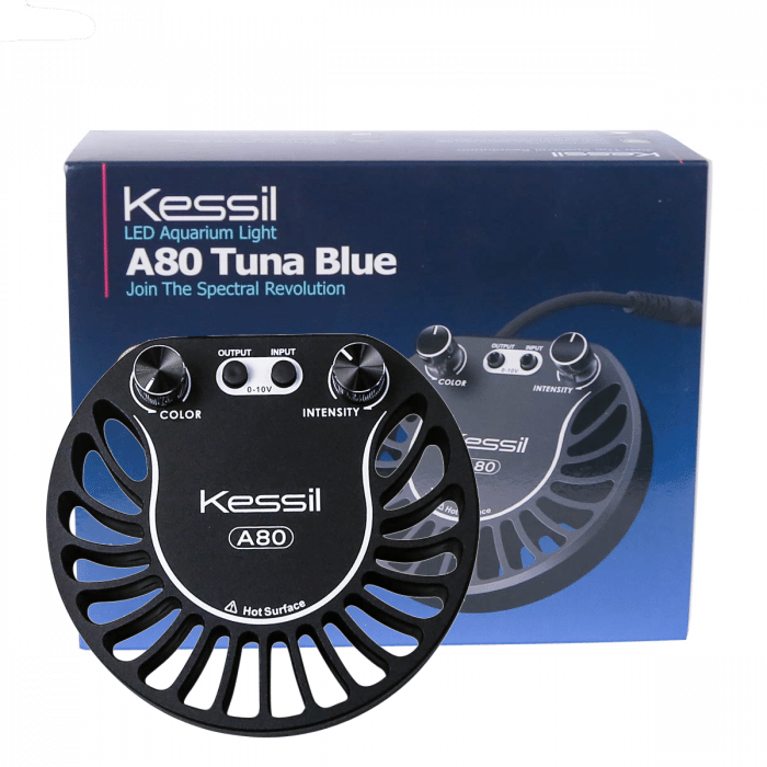 Kessil A80 Tuna Blue - Marine World Aquatics