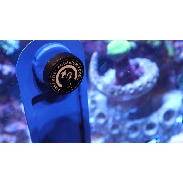 First Bite Magnetic Feeding Clip - Marine World Aquatics